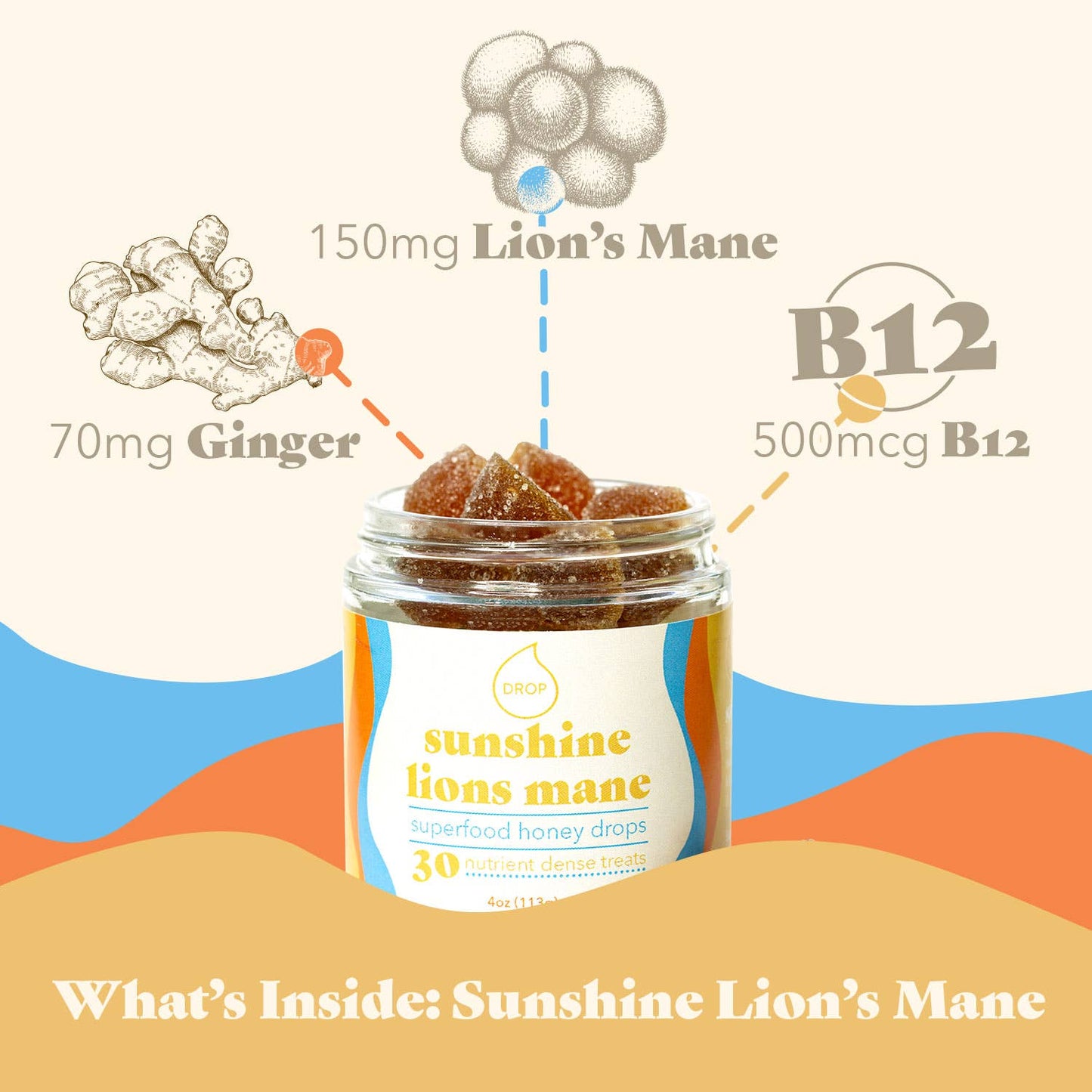 Sunshine Lion's Mane | Mushroom Honey Gummy | Energy & Focus: 30 Count Jar (Standard Retail)