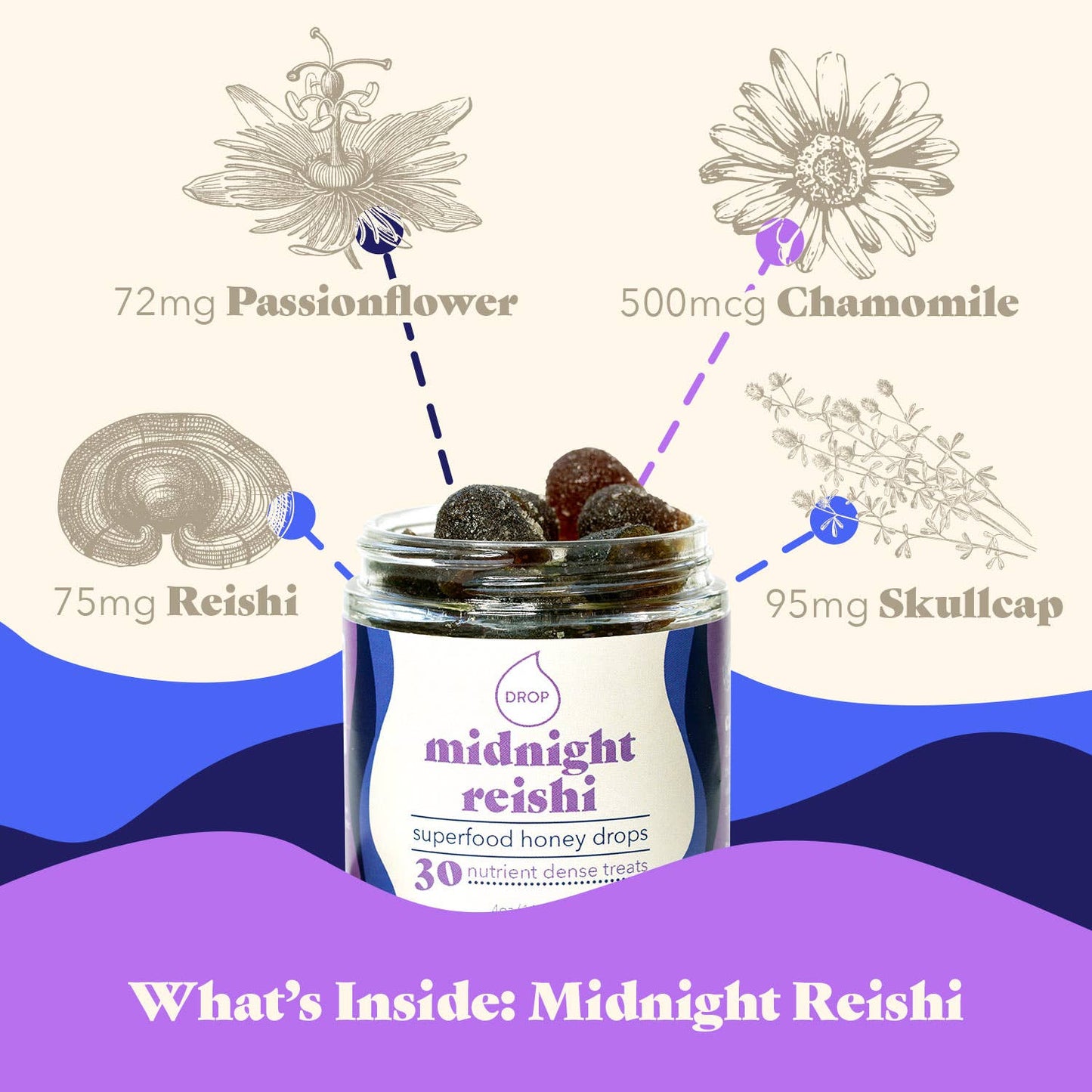 Midnight Reishi | Mushroom Honey Gummy | Sleep & Relaxation: 30 Count Jar (Standard Retail)