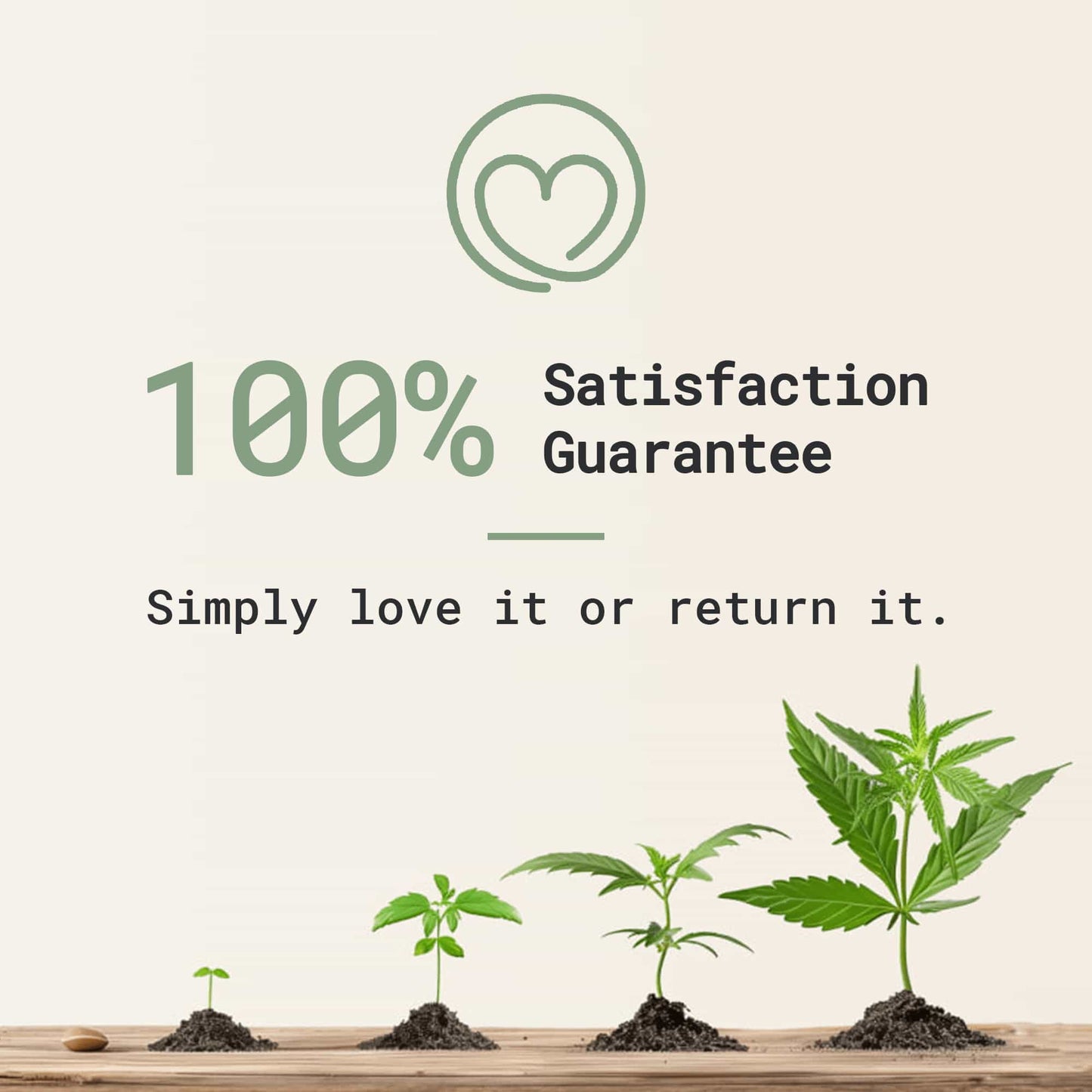 CBD Balm