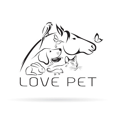 CBD FULL SPECTRUM PET CARE ANIMAL TINCUTRES - DukeCityHerbs