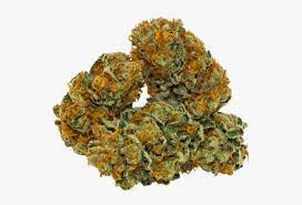 CANNABIS - MARIJUANA THC BUDS - DELIVERY AVAILABLE - DukeCityHerbs