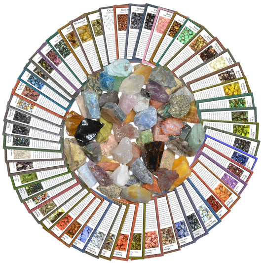 50 Different Rough Stones with Identification Cards - The Best Starter Rock Collection and Activity Kit! - DukeCityHerbs