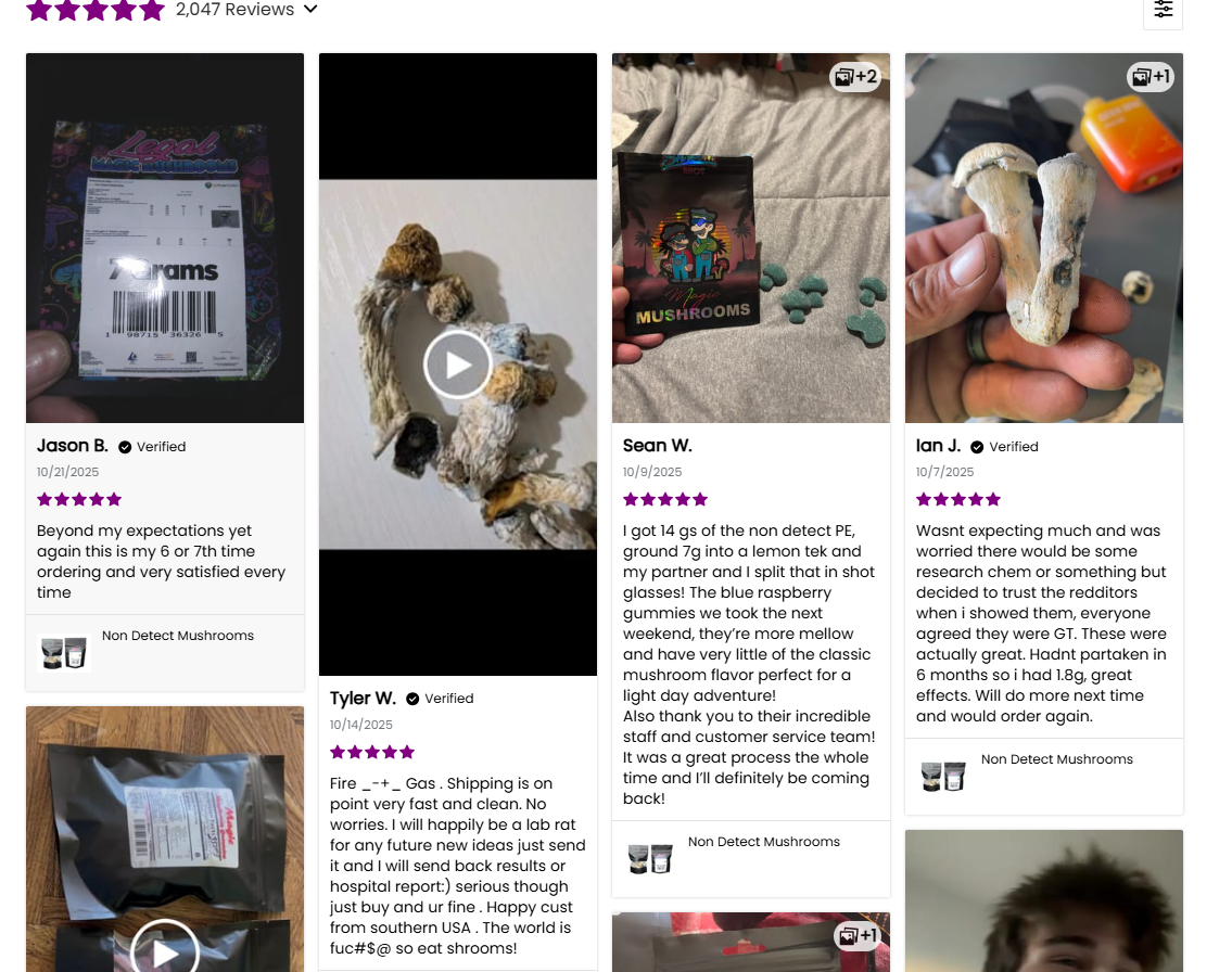 #1 Seller Pre- Order  Non- Detect Mushroom Penis Envy Dry 3.5 grams