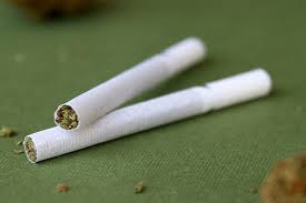 CBD STICKS