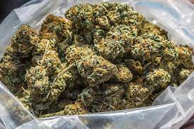 CANNABIS - MARIJUANA THC BUDS - DELIVERY AVAILABLE - DukeCityHerbs