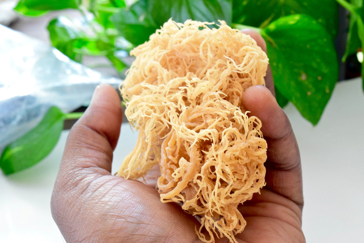Buy 2 & Get 1 Free Sale!! St. Lucian Sea Moss Special!!! Fast Free Delivery (U.S. Shipped)!! - DukeCityHerbs