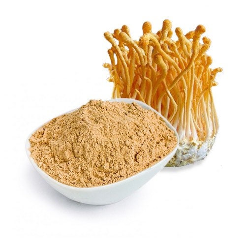 Cordyceps Sinensis Capsules - Mushroom Dual Extract Superfood - 50% Polysaccharides - Energy, Libido - Peak Herbs - DukeCityHerbs