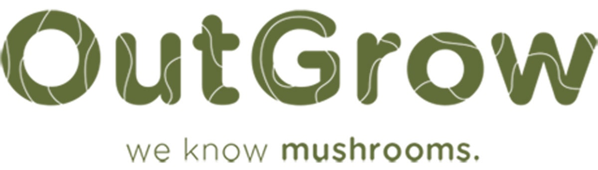 Mushroom Liquid Cultures INTERNAL HEALTH- BRAIN SUPPORT - DukeCityHerbs