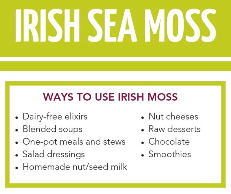 Raw SEA MOSS GEL Wildcrafted - Supports Thyroid Health- Gut health - Weight Loss - Mood and Metabolism Booster - Aid against Cancer - DukeCityHerbs