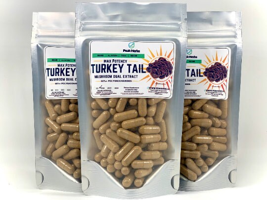 Turkey Tail 500mg Capsules - Dual Fruiting Body Extract - 50% Polysaccharides - Trametes versicolor - Peak Herbs - DukeCityHerbs