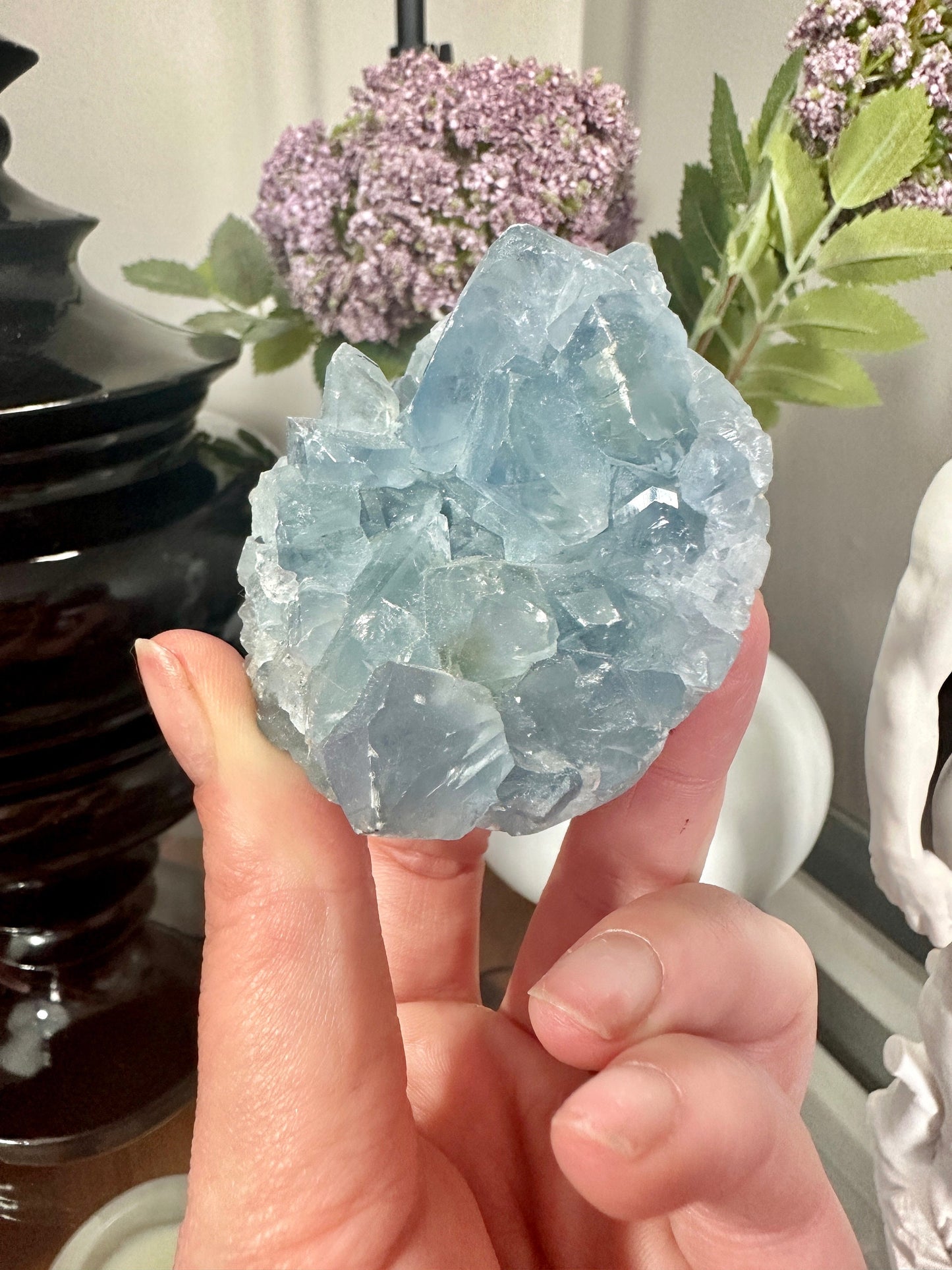 Celestite Cluster - Crystal Clusters - Celestite Raw Crystals - Celestite Egg - DukeCityHerbs